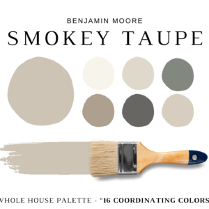 Benjamin Moore SMOKEY TAUPE Color Palette