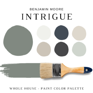 Benjamin Moore INTRIGUE