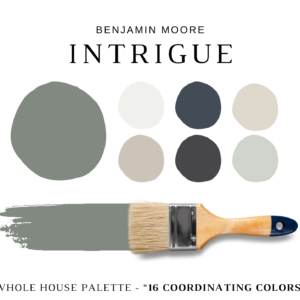 Benjamin Moore INTRIGUE Color Palette