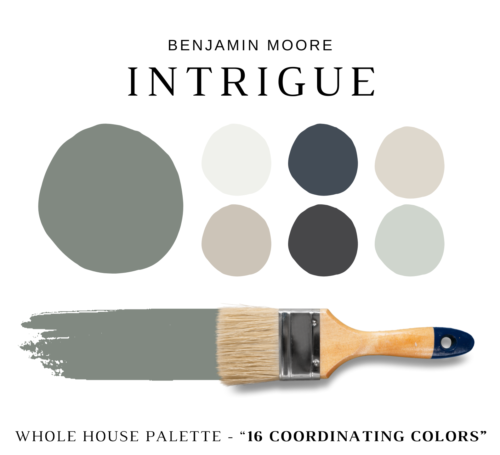 Benjamin Moore INTRIGUE Color Palette
