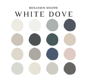 bm-white-dove