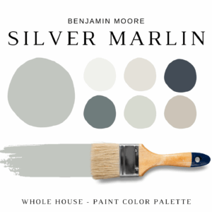 Benjamin Moore SILVER MARLIN