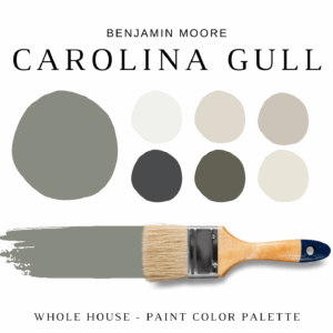 Benjamin Moore CAROLINA GULL Color Palette