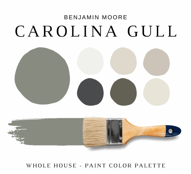 Benjamin Moore CAROLINA GULL Color Palette