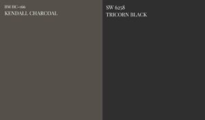 BM-kendall-charcoal-vs-tricorn-black