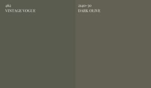 BM-vintage-vogue-vs-dark-olive