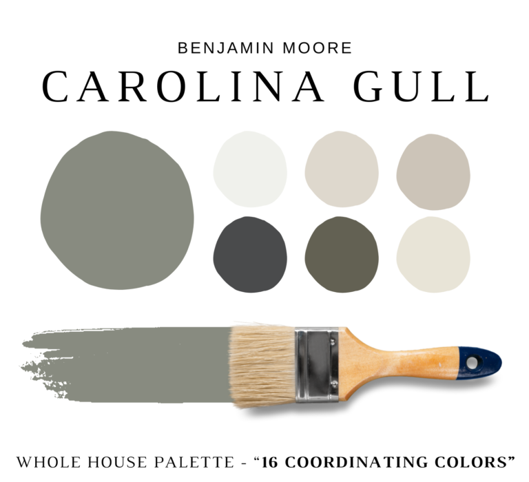 Benjamin Moore CAROLINA GULL Color Palette