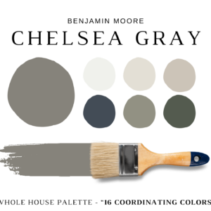 Benjamin Moore CHELSEA GRAY Color Palette