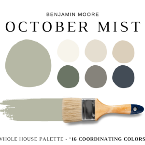Benjamin-Moore-October-Mist