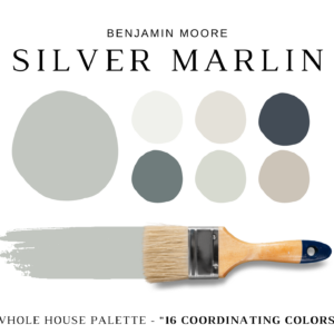 Benjamin-Moore-Silver-Marlin