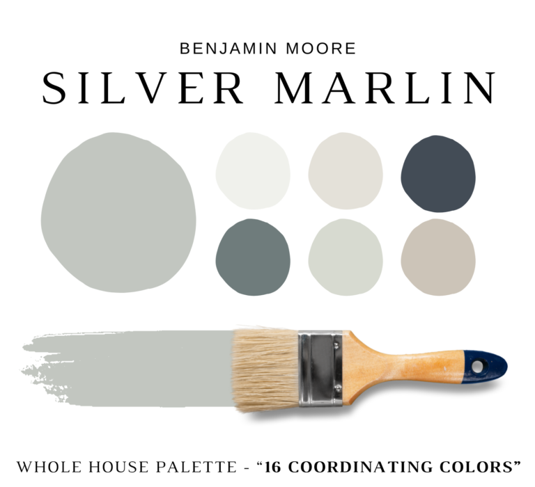 Benjamin-Moore-Silver-Marlin