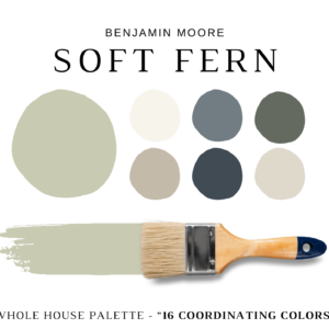 Benjamin-Moore-Soft-Fern