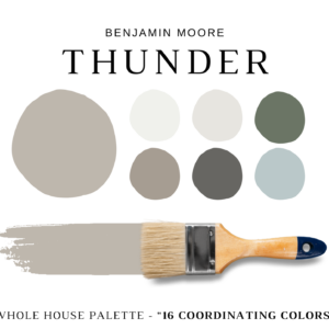 Benjamin-Moore-Thunder