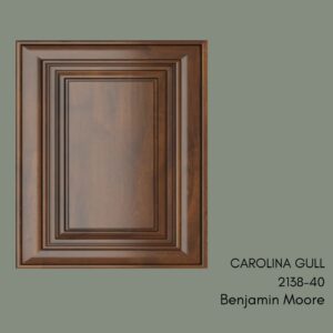benjamin-moore-dark-wood-carolina-gull
