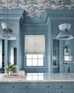 bm-van-courtland-blue