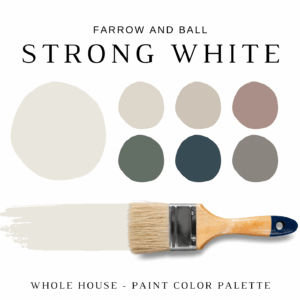 Farrow and Ball STRONG WHITE
