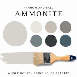 Farrow and Ball AMMONITE Color Palette