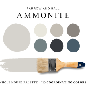 Farrow-and-Ball-Ammonite