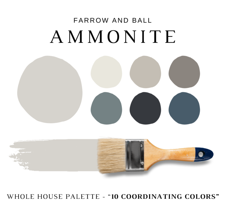 Farrow-and-Ball-Ammonite
