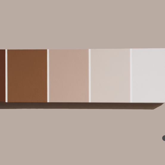 paint-color-consultation-nish